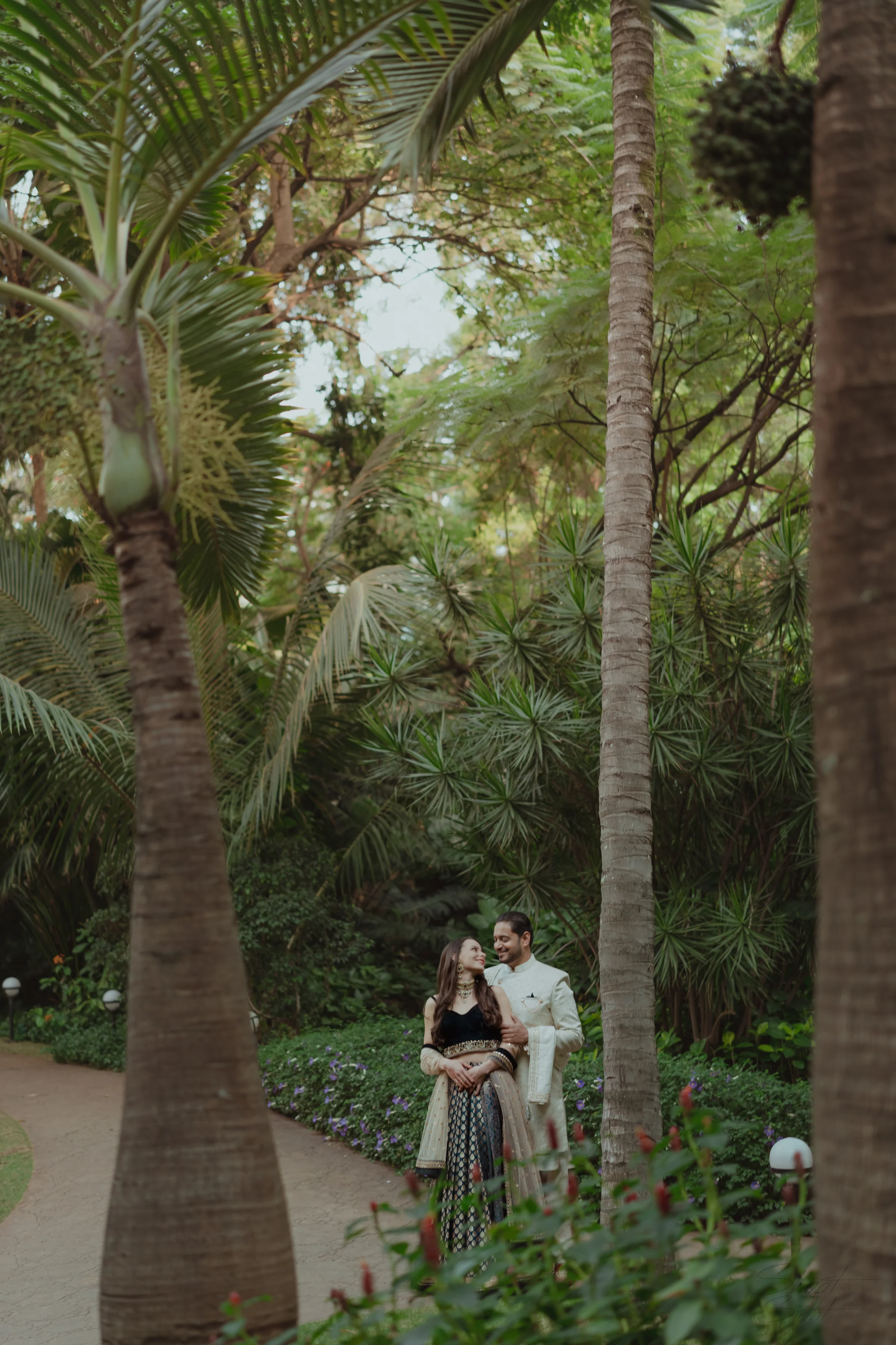 Twilight Lawn Stroll
